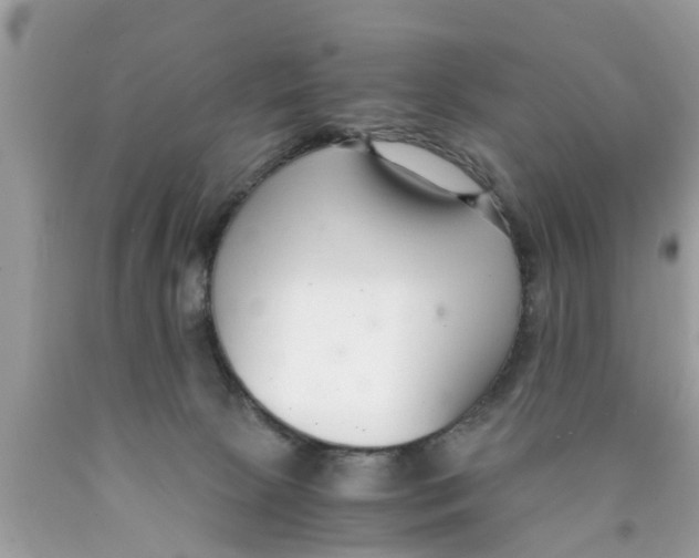 X0000089870081200707262158