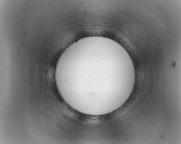 X0000089870083200707262158