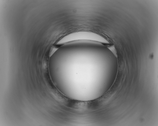 X0000089870084200707262158