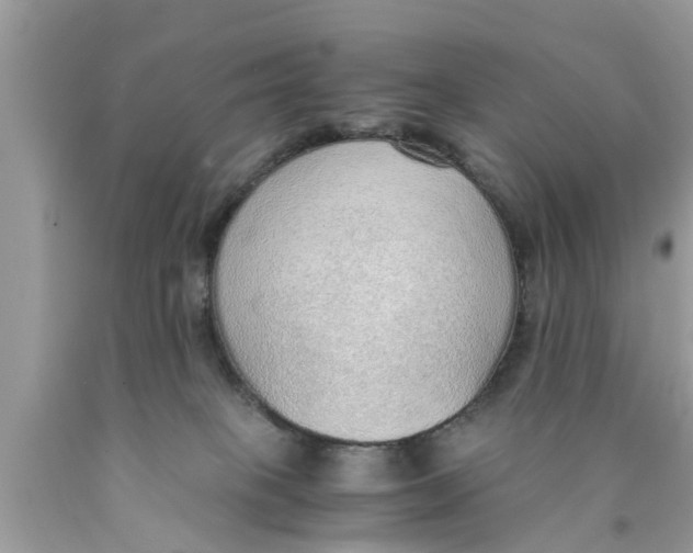 X0000089870085200707262158