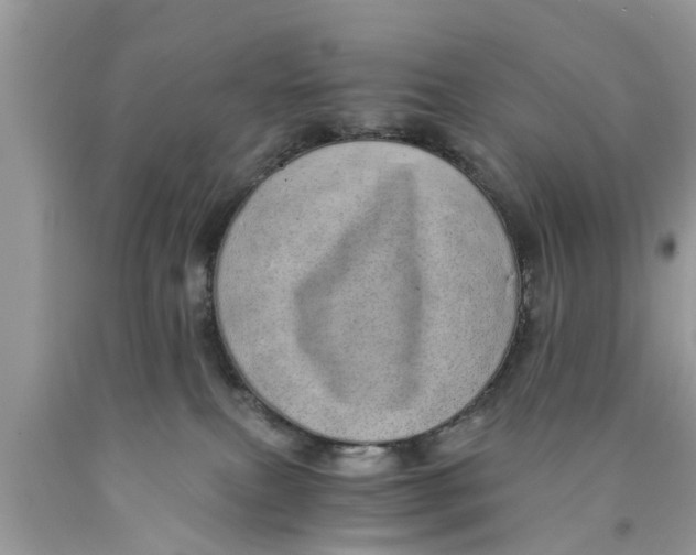 X0000089870087200707262158