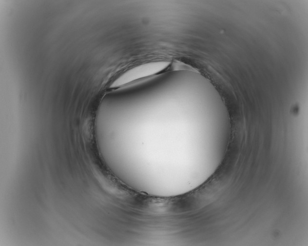 X0000089870088200707262158