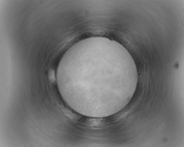 X0000089870089200707262158