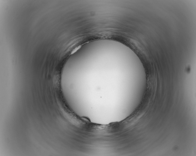 X0000089870092200707262158