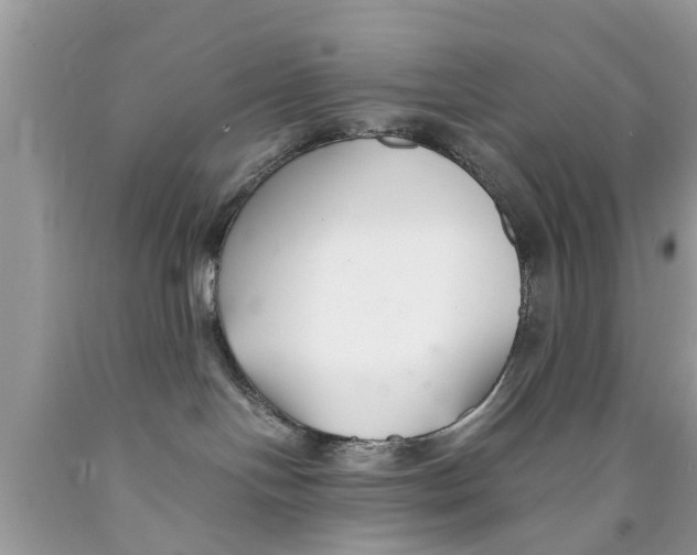 X0000089870094200707262158