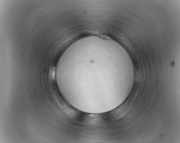 X0000089870095200707262158