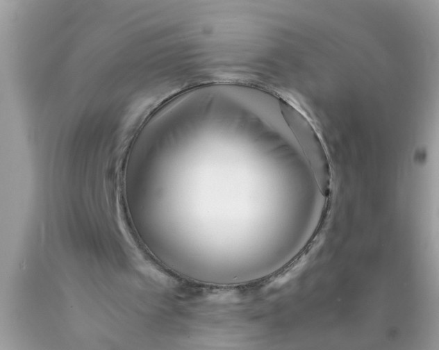 X0000089870097200707262158