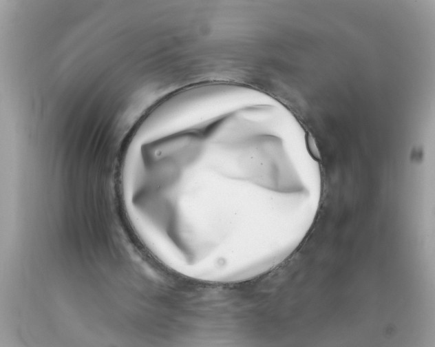 X0000089870098200707262158