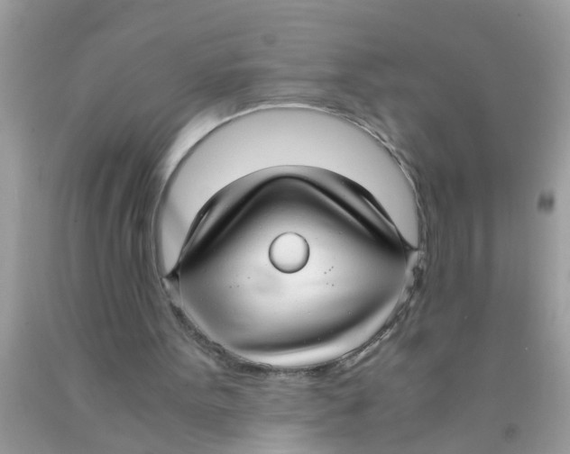 X0000089870099200707262158