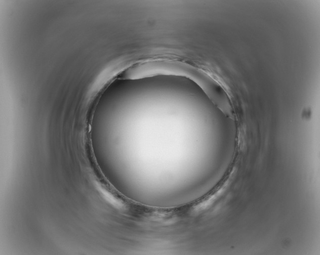 X0000089870101200707262158
