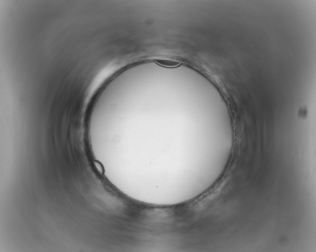 X0000089870102200707262158