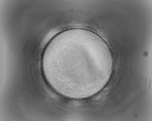 X0000089870103200707262158