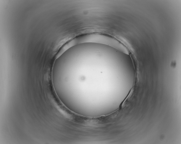 X0000089870105200707262158