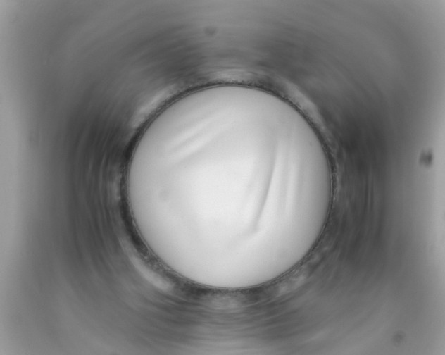X0000089870106200707262158