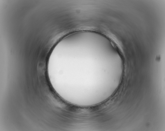 X0000089870107200707262158