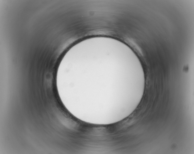 X0000089870108200707262157