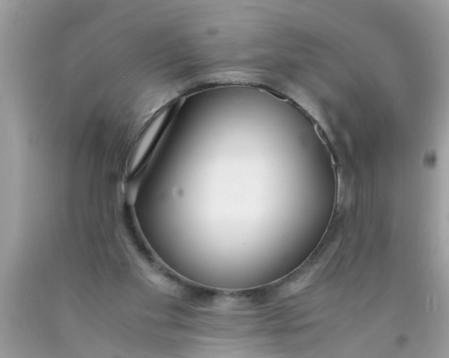 X0000089870109200707262157