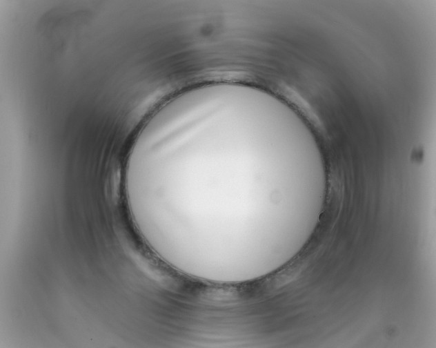 X0000089870110200707262157