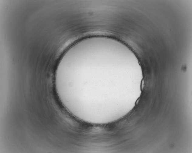 X0000089870111200707262157