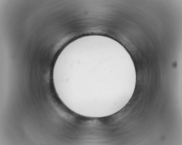 X0000089870112200707262157