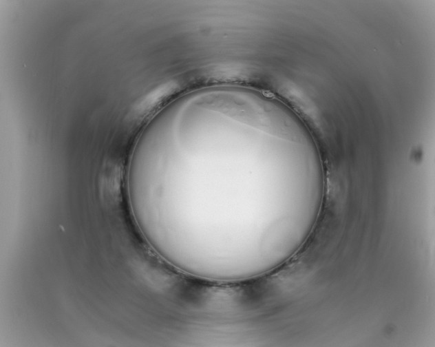 X0000089870115200707262157