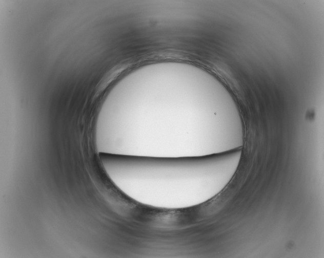 X0000089870116200707262157