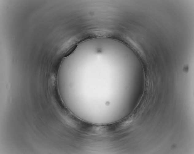 X0000089870117200707262157
