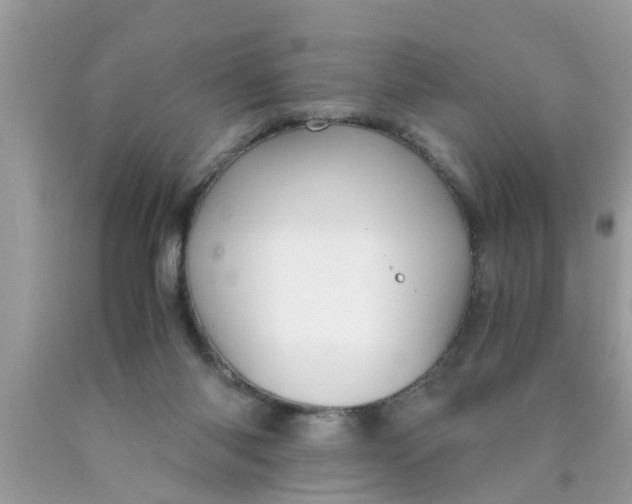 X0000089870118200707262157