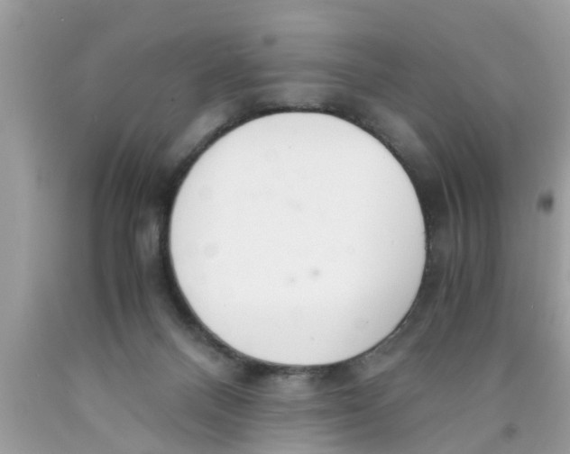 X0000089870120200707262157
