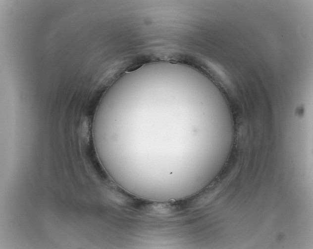 X0000089870121200707262157