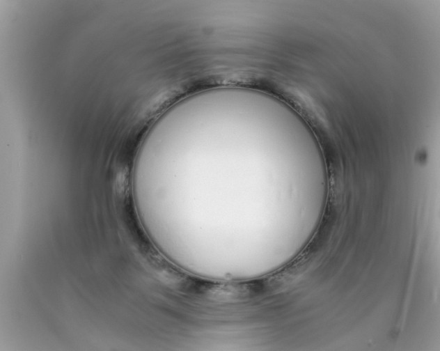 X0000089870123200707262157