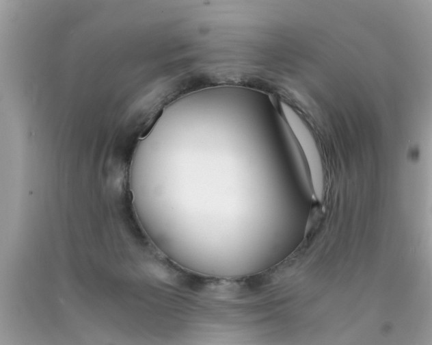 X0000089870125200707262157