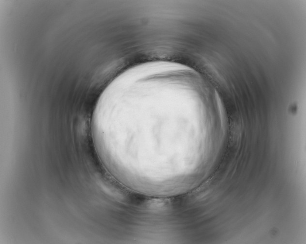 X0000089870126200707262157