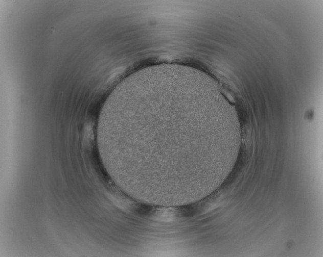 X0000089870127200707262157