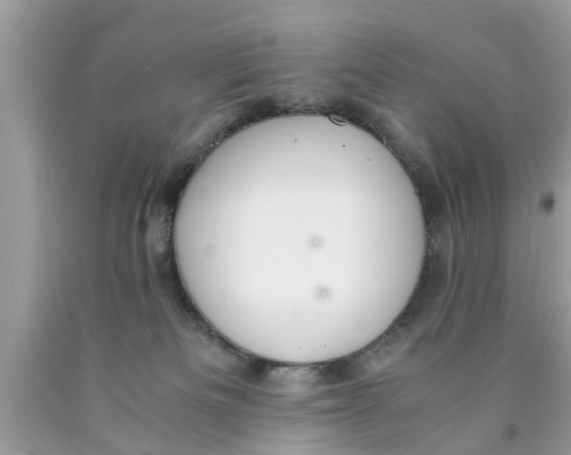 X0000089870133200707262157