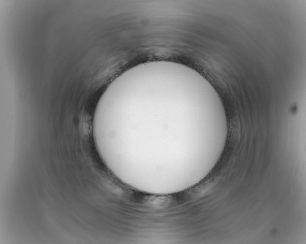 X0000089870135200707262157