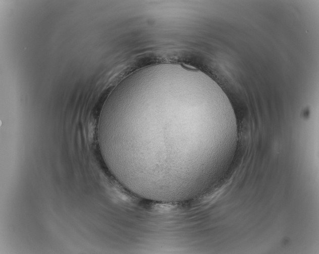 X0000089870139200707262157
