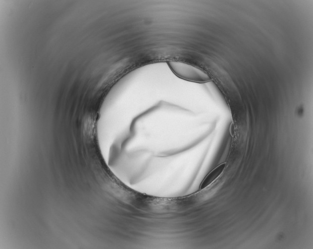 X0000089870142200707262157