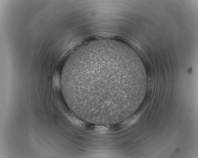 X0000089870143200707262157