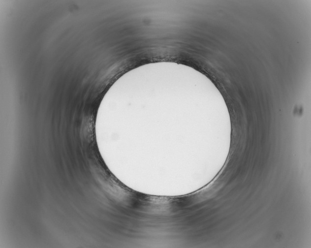 X0000089870144200707262157