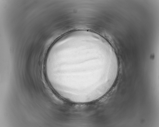 X0000089870145200707262156