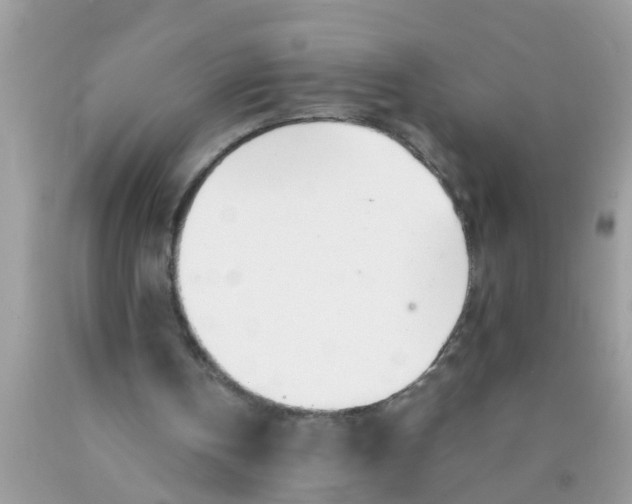 X0000089870146200707262156