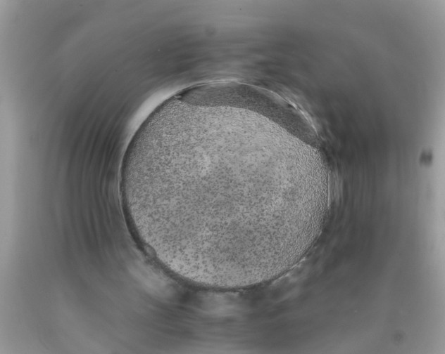 X0000089870147200707262156