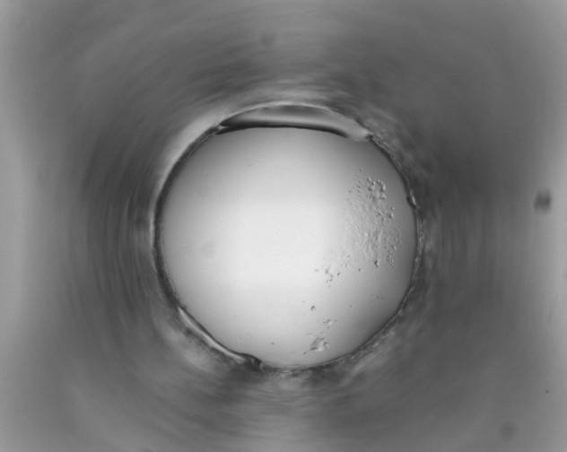 X0000089870148200707262156