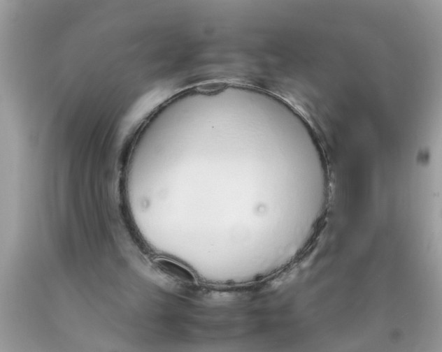 X0000089870149200707262156
