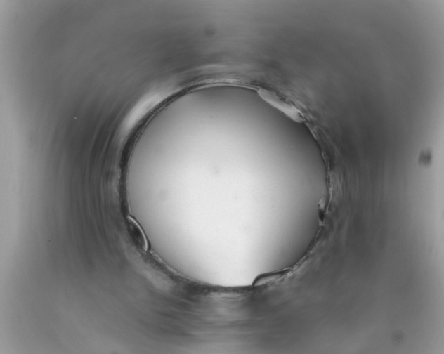 X0000089870150200707262156