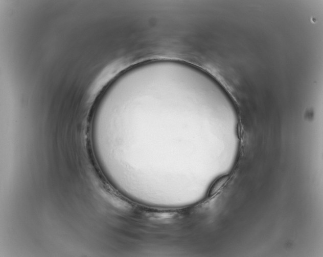 X0000089870151200707262156