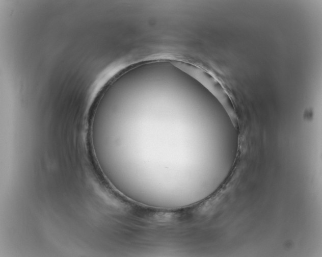 X0000089870152200707262156