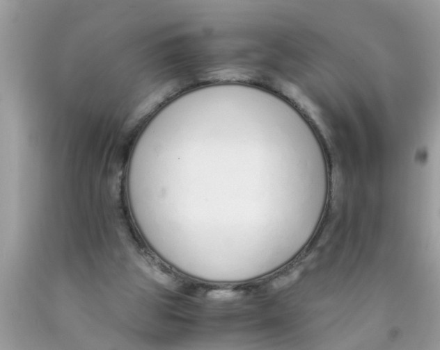 X0000089870153200707262156