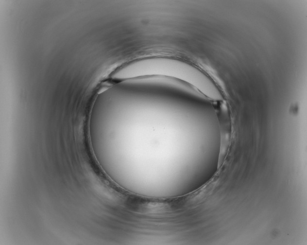 X0000089870154200707262157